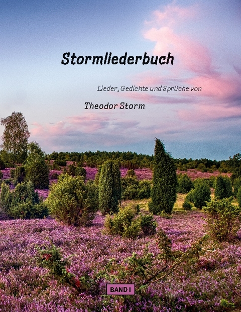 Stormliederbuch - Theodor Storm