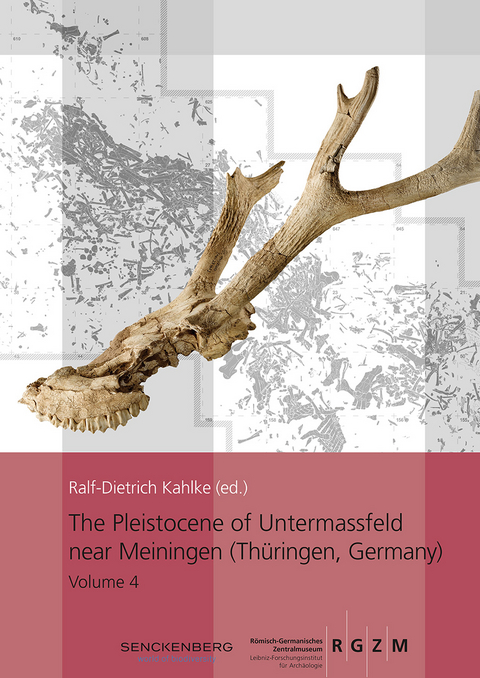 The Pleistocence of Untermassfeld near Meiningen (Thüringen, Germany) - 