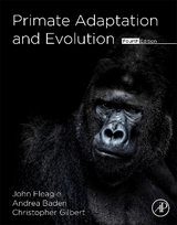 Primate Adaptation and Evolution - Fleagle, John; C. Gilbert, Christopher; Baden, Andrea