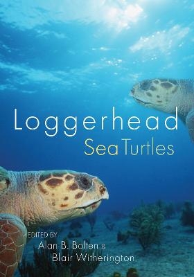 Loggerhead Sea Turtles - 