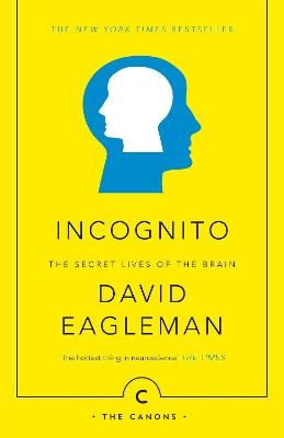Incognito - David Eagleman