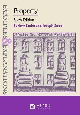 Examples & Explanations for Property - Barlow Burke, Joseph Snoe