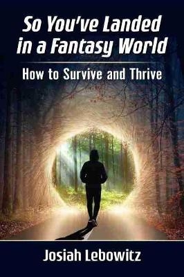 So You've Landed in a Fantasy World - Josiah Lebowitz