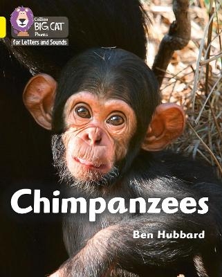 Chimpanzees - Ben Hubbard