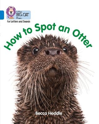How to Spot an Otter - Becca Heddle