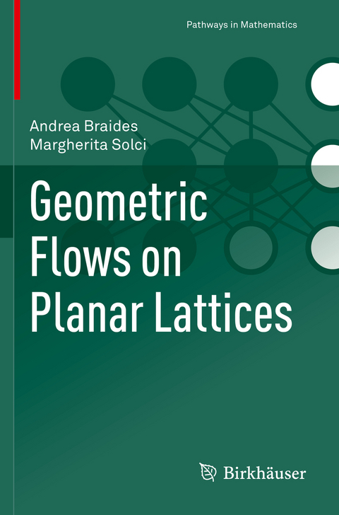 Geometric Flows on Planar Lattices - Andrea Braides, Margherita Solci