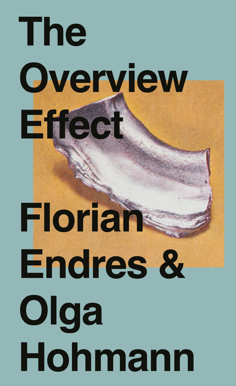 The Overview Effect - Olga Hohmann, Florian Endres