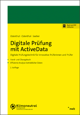 Digitale Prüfung mit ActiveData - Seeber, Ute; Odenthal, Kay-Ole; Odenthal, Roger