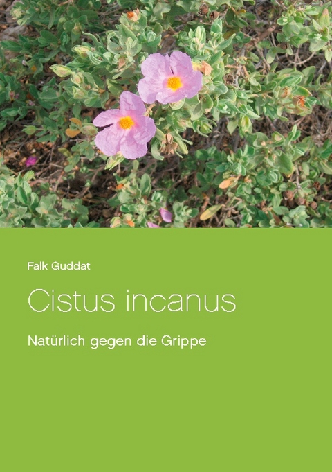 Cistus incanus - Falk Guddat