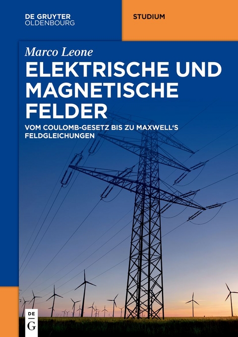 Elektrische und magnetische Felder - Marco Leone