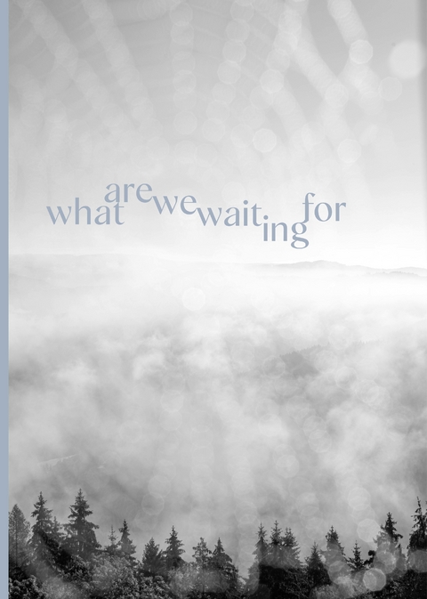 WHAT ARE WE WAITING FOR - Gerhard Maurer