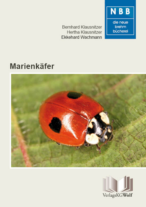 Marienkäfer - Bernhard Klausnitzer, Hertha Klausnitzer, Ekkehard Wachmann