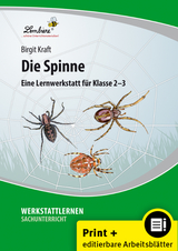 Die Spinne - Birgit Kraft
