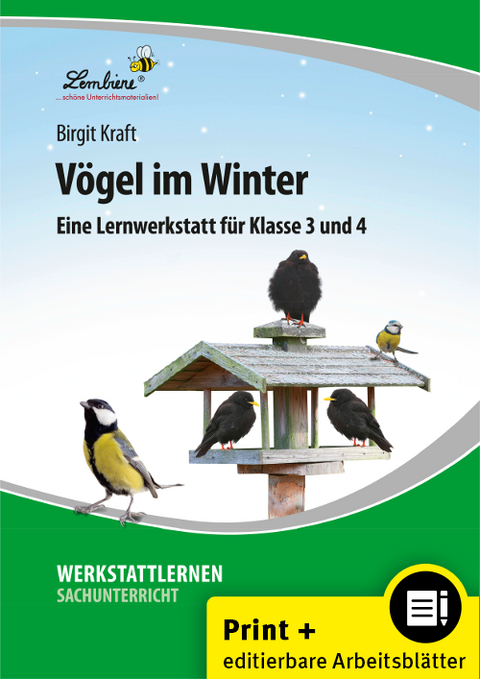 Vögel im Winter - Birgit Kraft