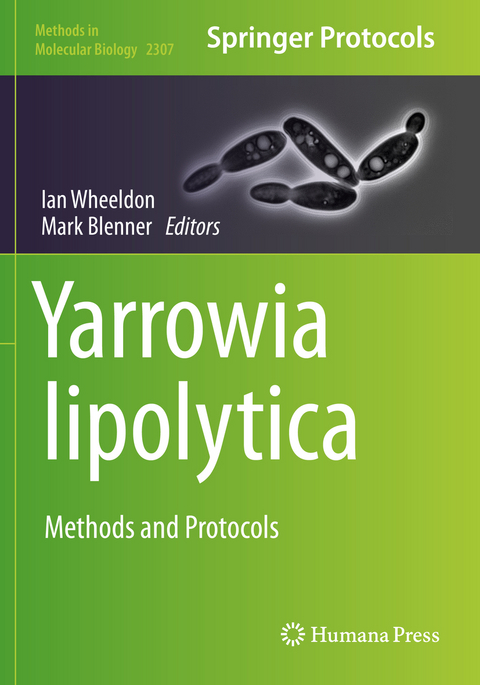 Yarrowia lipolytica - 