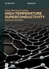 High-Temperature Superconductivity - Victor Dmitrievich Lakhno