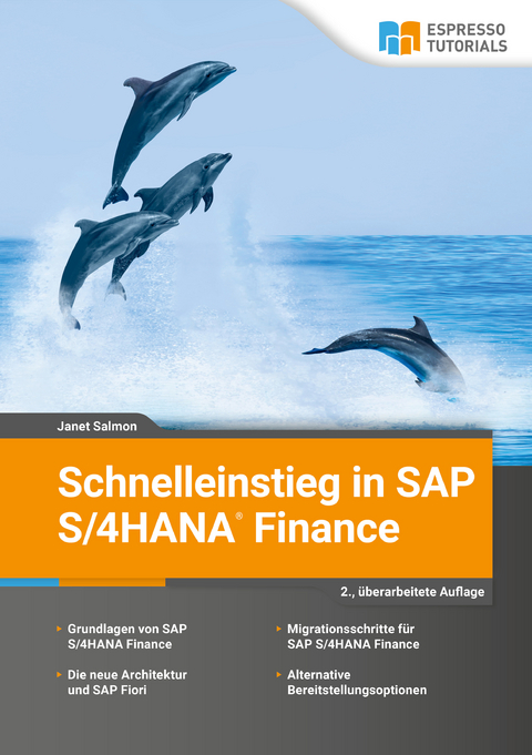 Schnelleinstieg in SAP S/4HANA Finance - Janet Salmon