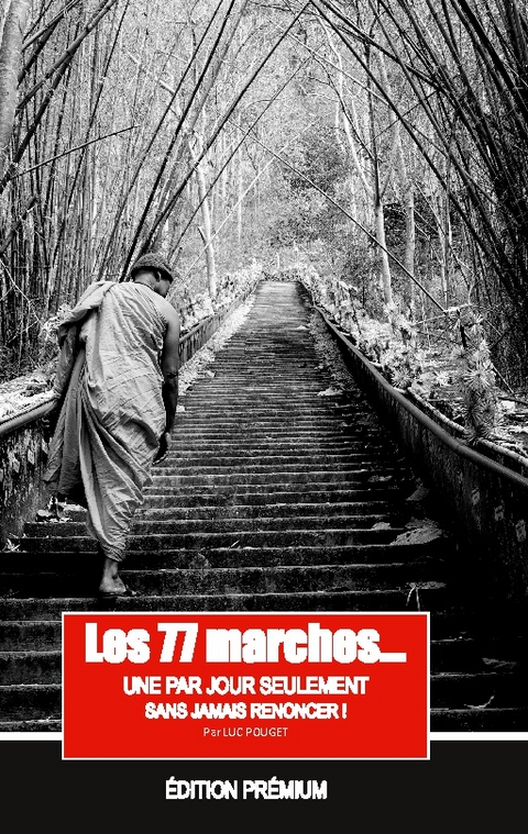 Les 77 marches, une par jour seulement, mais sans jamais renoncer ! - Luc Pouget