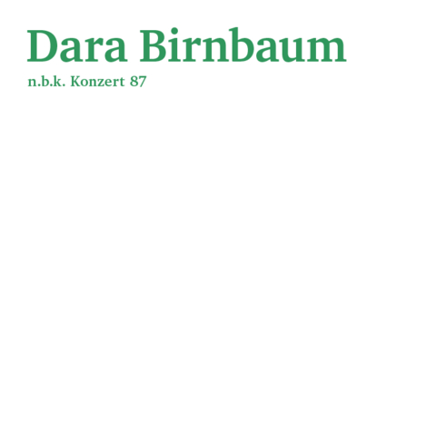 Dara Birnbaum - 