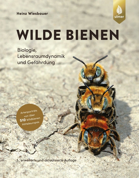 Wilde Bienen - Heinz Wiesbauer