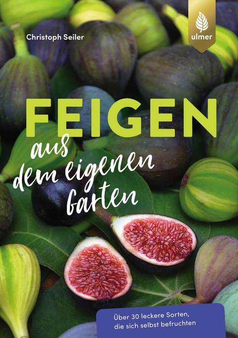 Feigen aus dem eigenen Garten - Christoph Seiler