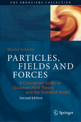 Particles, Fields and Forces - Schmitz, Wouter