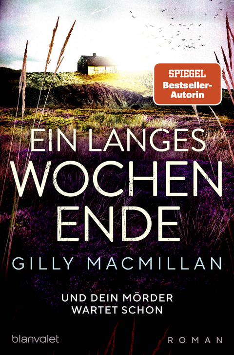 Ein langes Wochenende - Gilly MacMillan