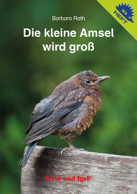 Die kleine Amsel wird groß / Igelheft 83 - Barbara Rath