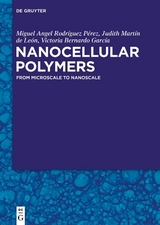 Nanocellular Polymers - Miguel Angel Rodríguez Pérez, Judith Martín de León, Victoria Bernardo García