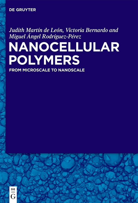 Nanocellular Polymers - Miguel Angel Rodríguez Pérez, Judith Martín de León, Victoria Bernardo García