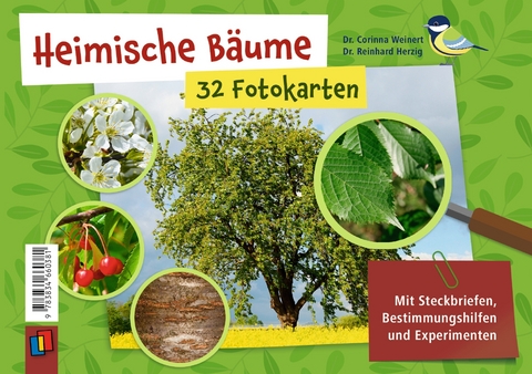 Heimische Bäume – 32 Fotokarten - Corinna Weinert, Reinhard Herzig
