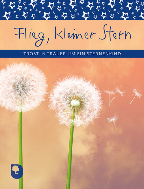 Flieg, kleiner Stern