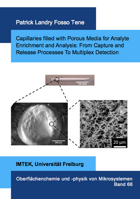 Capillaries filled with Porous Media for Analyte Enrichment and Analysis: From Capture and Release Processes To Multiplex Detection - Patrick Landry Fosso Tene