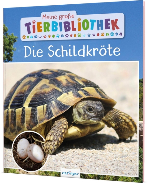 Meine große Tierbibliothek: Die Schildkröte - Axel Gutjahr