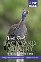 Guinea Fowl, Backyard Poultry - JUNE ROSE