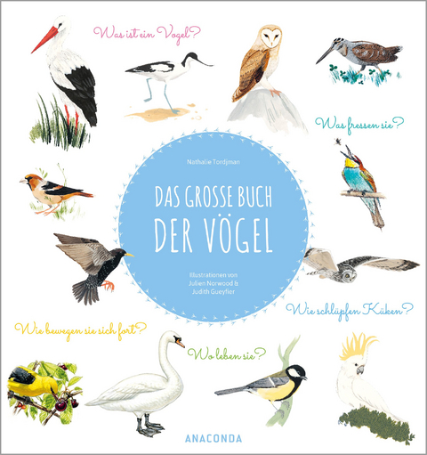 Das große Buch der Vögel - Nathalie Tordjman