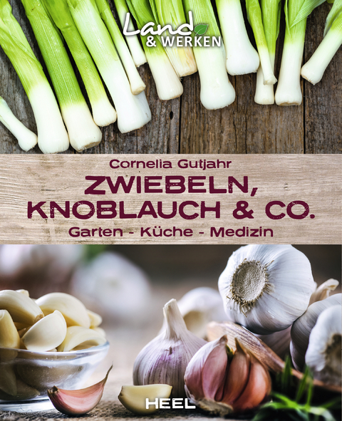 Zwiebeln, Knoblauch & Co. - Garten - Küche - Medizin - Cornelia Gutjahr