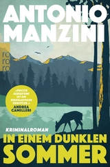 In einem dunklen Sommer - Antonio Manzini