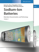 Sodium-Ion Batteries - 