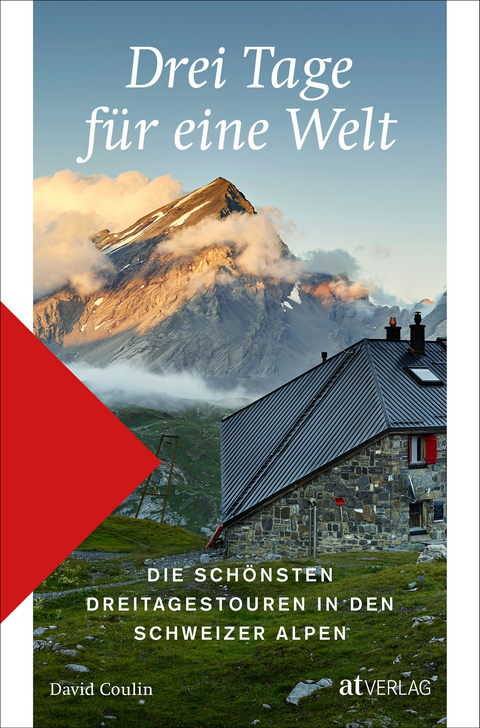 Drei Tage für eine Welt - David Coulin