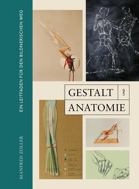 Gestalt und Anatomie - Prof. Manfred Zoller