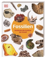 Fossilien - Dean Lomax