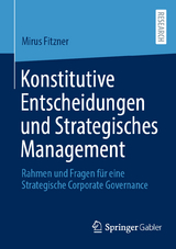 Konstitutive Entscheidungen und Strategisches Management - Mirus Fitzner