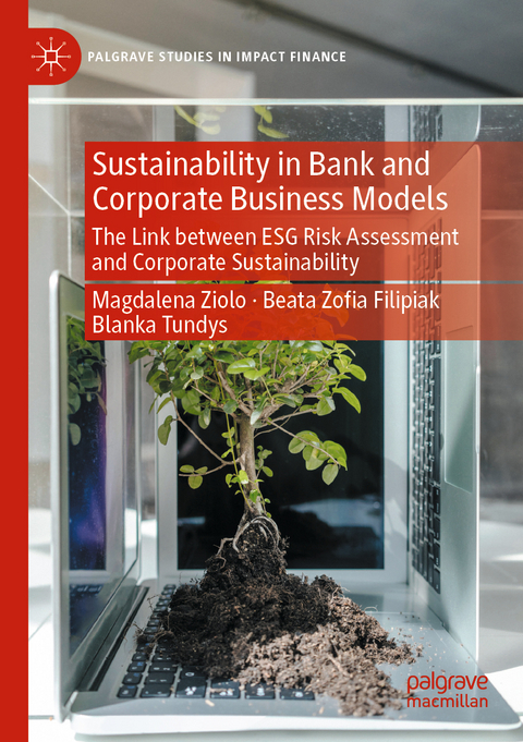 Sustainability in Bank and Corporate Business Models - Magdalena Ziolo, Beata Zoﬁa Filipiak, Blanka Tundys