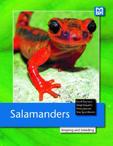 Salamanders - Pasmans, Frank; Bogarts, Sergé; Janssen, Henry; Sparreboom, Max