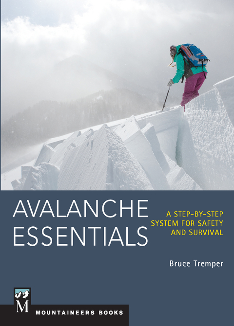 Avalanche Essentials -  Bruce Tremper