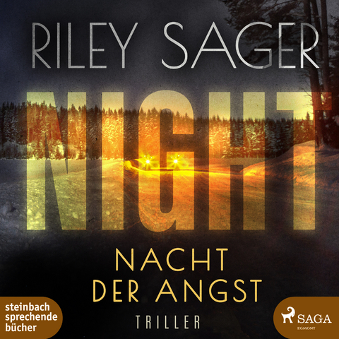 Night - Riley Sager