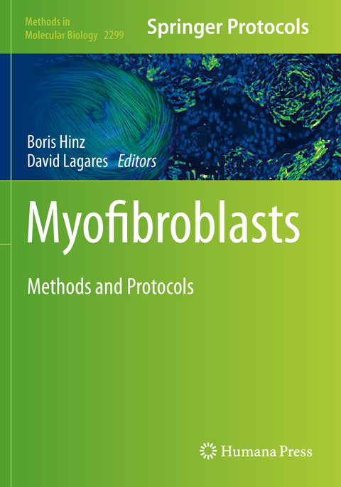 Myofibroblasts - 