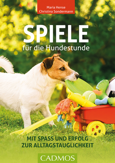 Spiele für die Hundestunde - Maria Hense, Christina Sondermann