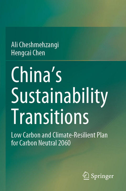 China's Sustainability Transitions - Ali Cheshmehzangi, Hengcai Chen